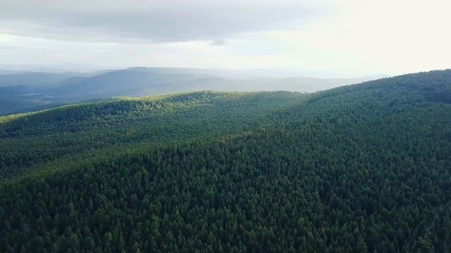 Пролетая над тайгой / Тайга Сибири / Природа Сибири / Flying over the taiga / Taiga of Siberia смотреть онлайн
