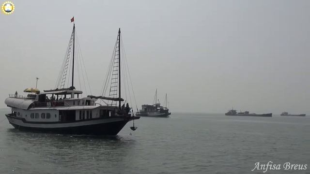 freelancelifestyle ru Vietnam 113 2 Bai To Long смотреть онлайн