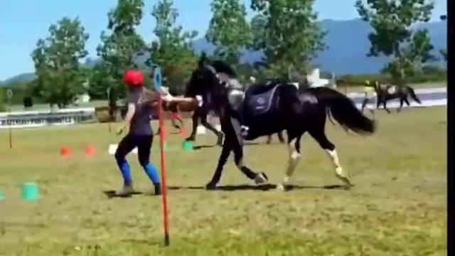 Mounted Games-Hurricane Italian Championships 2016 смотреть онлайн