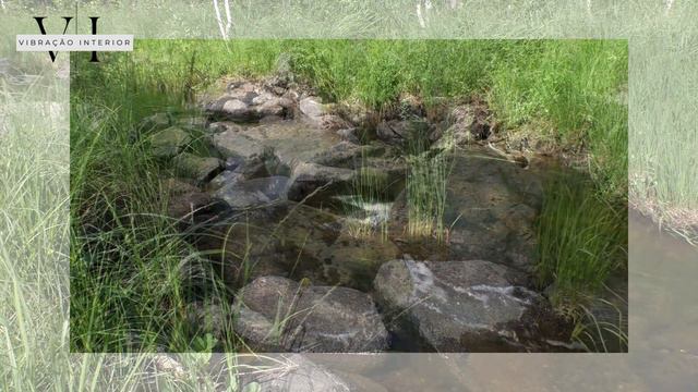 639Hz music for emotional healing and harmony, have a good night's sleep with this sound смотреть онлайн