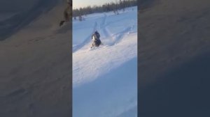 ирбис тунгус 500 глубокий снег, выскакивает на дорогу