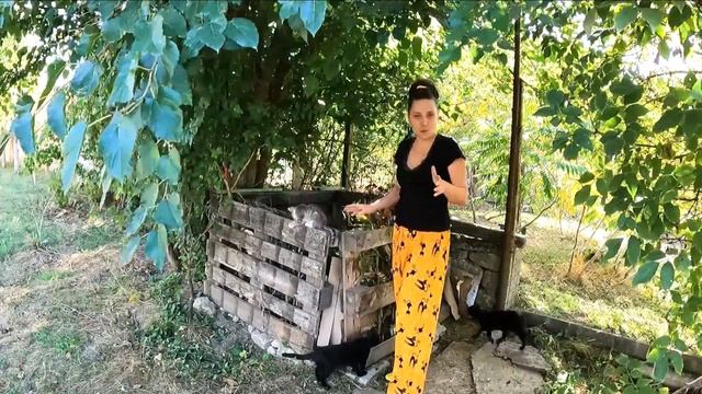 Мишки в компостера и в градината. Варианти и идеи как да се справим с това предизвикателство. смотреть онлайн