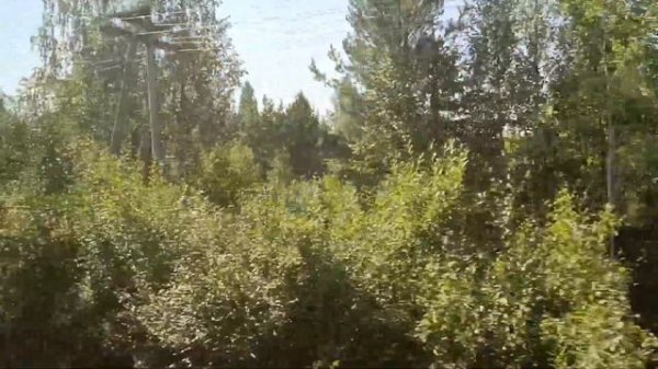 Луковецкий