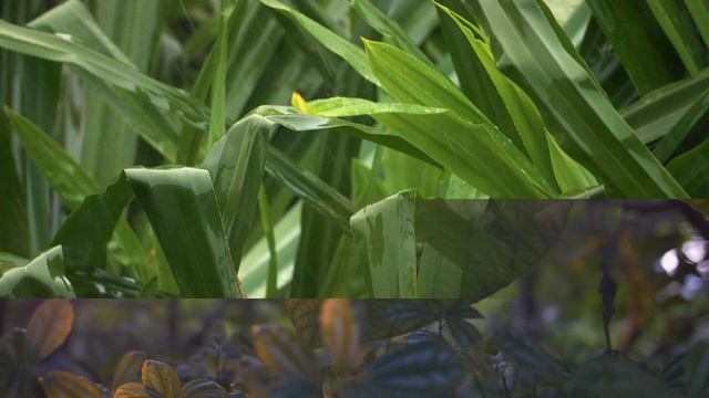 Биологическое исследование ДНК смотреть онлайн