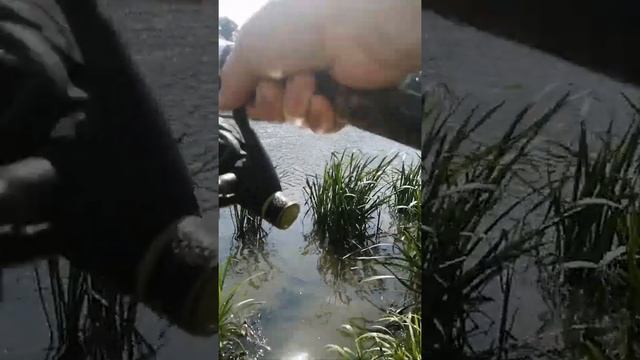 рядовая рыбалка на дону в августе смотреть онлайн