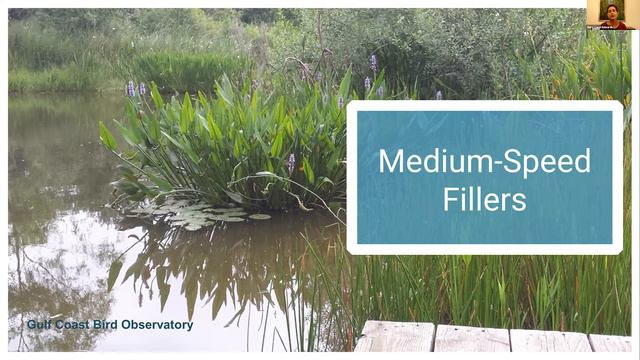 Get That Pond Growing With “Slow” And “Fast” Native Wetland Species