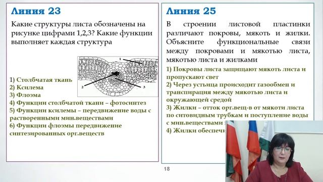 "Блок 4. Система и многообразие органического мира" смотреть онлайн