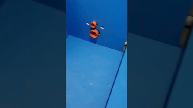 Синий синий кнауф лёг на туалет? Ремонт саузла #отделка #ремонт #гидроизоляция  #екатеринбург