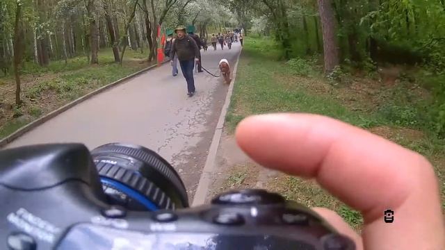 День пограничника в Екб. Зеленые фуражки ЗА-ПО-ЛО-НИ-ЛИ парк Маяковского смотреть онлайн