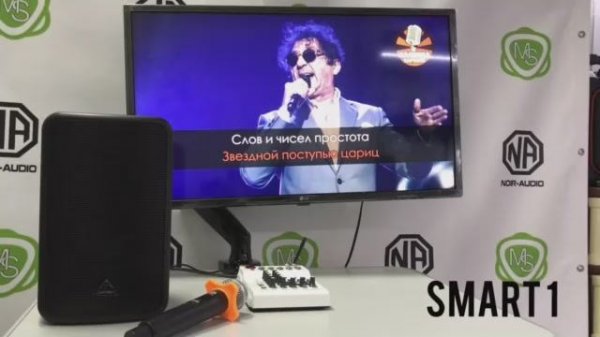 Караоке комплект для онлайн караоке с микрофонами NOIR-audio UM-100 и колонкой. Пример подключения.
