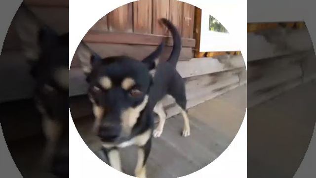 1000030104.mp4 смотреть онлайн