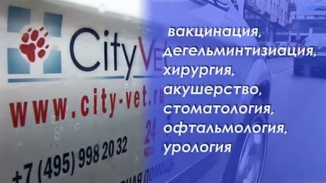 скорая ветеринарная помощь в Москве  Www.city-vet.ru