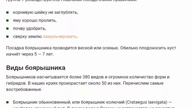 Боярышник в саду ваш полезный сосед смотреть онлайн