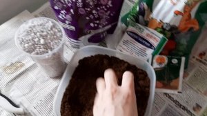 АГЛАОНЕМА. Пересадка, состав грунта на канале Светланы Чурбановой "Цветочная фея"