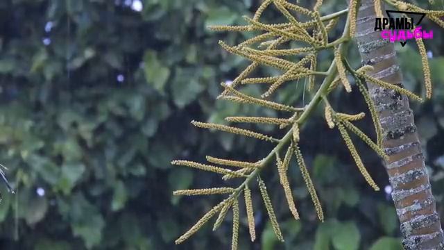 Жена изменяет мужу с его боссом и что будет, когда всё откроется их семьям? | Удивительные истории смотреть онлайн