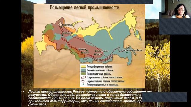 География - лесная промышленность 8 кл смотреть онлайн