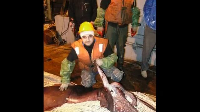 Лов кальмаров в Тихом океане смотреть онлайн
