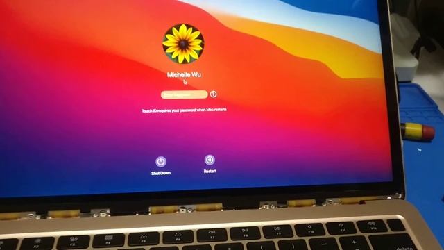 New MacBook A2179 LCD Panel With A Dead Pixel Oct 24 Order