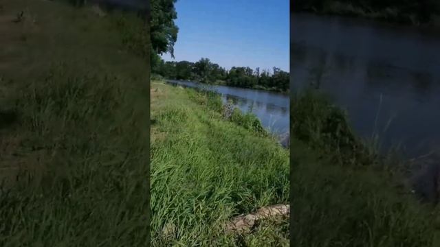 Рыбалка, краснодарский край, спортивный водоём Золотой берег. смотреть онлайн