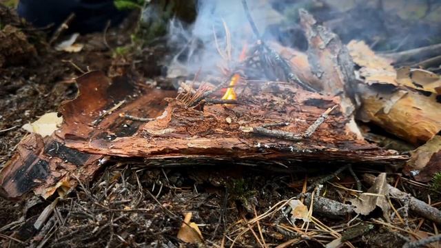 Осенний лес и мотоцикл ? #bushcraft смотреть онлайн