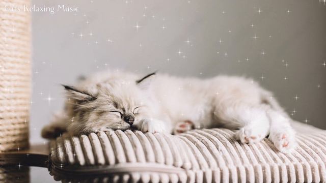 Relaxing Music for Cats, Peaceful Piano Music смотреть онлайн