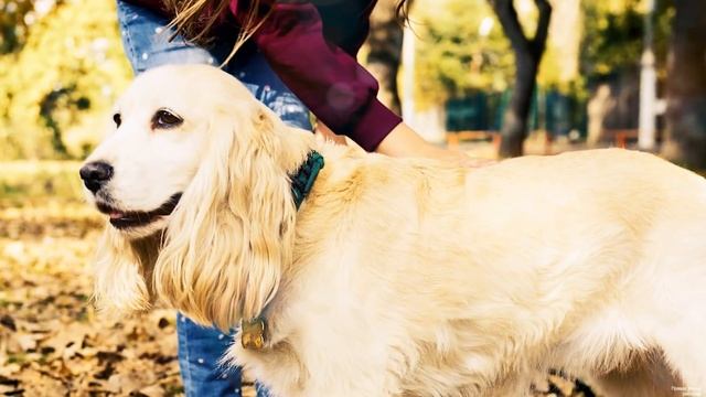 Сын защищал маму, и не подрассчитал силу. Но речь матери на суде его шокировала… смотреть онлайн