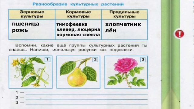 Окружающий мир. Рабочая тетрадь 3 класс 2 часть. ГДЗ стр. 32 №4 смотреть онлайн