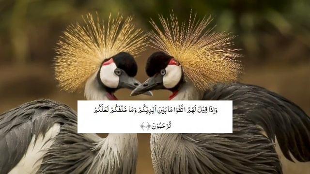 Surah Yasin (Yaseen) | | Full With Arabic Text (HD) | 36سورۃ یس Ep 107 смотреть онлайн