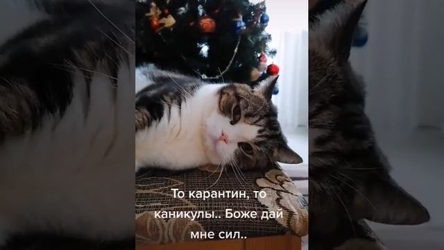 Устал от праздников смотреть онлайн