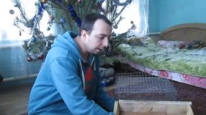 Как сделать клетку для Морской Свинки своими руками!