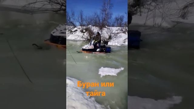 снегоход тайга или буран