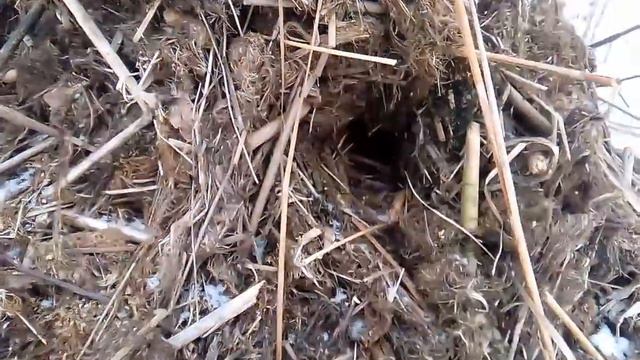 Поиск новых следов