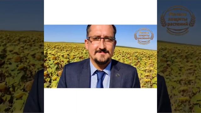 Все? семена гибриды подсолнечника?на большом складе ? #семенаподсолнечника #гибридыподсолнечника смотреть онлайн