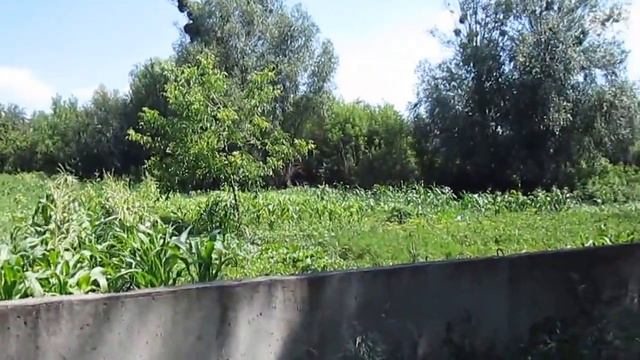 ОТ РЕЧКИ ДО АЛЕКСАНДРИЙСКОГО БУЛЬВАРА смотреть онлайн