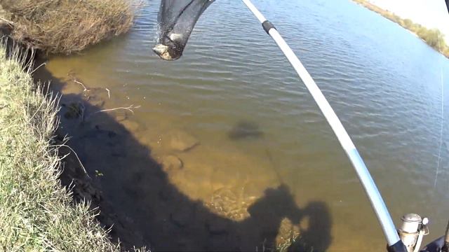 В поисках карася, рыбалка, супер карась.2018 рыбалка.Донка.Фидер2018 смотреть онлайн