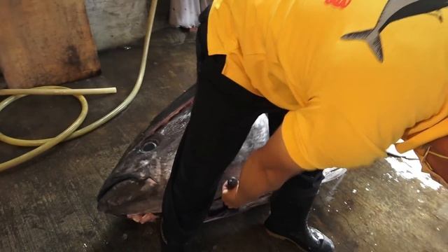 800 lb giant bluefin tuna cutting show/amazing meat cutting skills!! смотреть онлайн