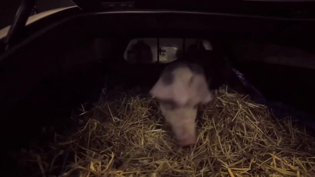 Deathmatch Village (PS Vita/PlayStation 3), MOBA (Multiplayer Online Battle Arena), making of смотреть онлайн