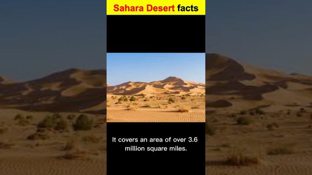 Sahara Desert Facts.😮 смотреть онлайн