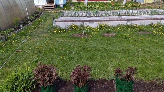 13 мая суббота! Дача!!! смотреть онлайн