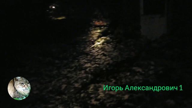 08,10,2023г. снег в 12км от Сергиевой Лавры смотреть онлайн