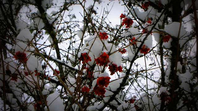 Melodram - Walk through klangwelt смотреть онлайн