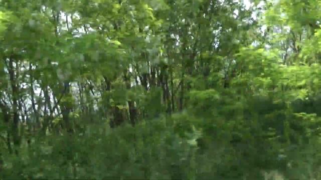 1.ч. РЫБАЛКА - ОТДЫХ - МИР ТРУД МАЙ. 23.05.2021.г. смотреть онлайн