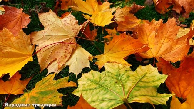 18 октября народный праздник День Харитины. Народные традиции и приметы. Что можно и нельзя делать смотреть онлайн