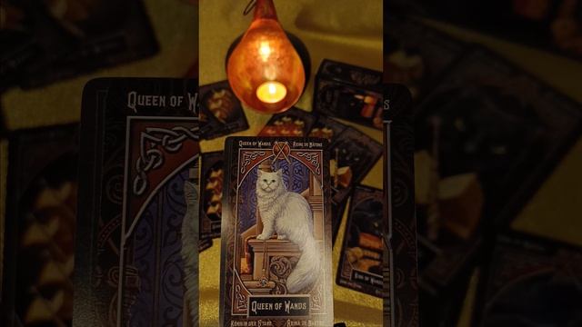 Королева Жезлов обзор и значение карт Таро Liza Parker "Taro Familiars", #АрканQueenofWands# смотреть онлайн