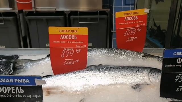 ??Приехали в магазин Лента??Прогулка, небольшая закупка???? смотреть онлайн