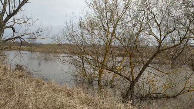 Разлив Оки, район впадения Скниги. смотреть онлайн