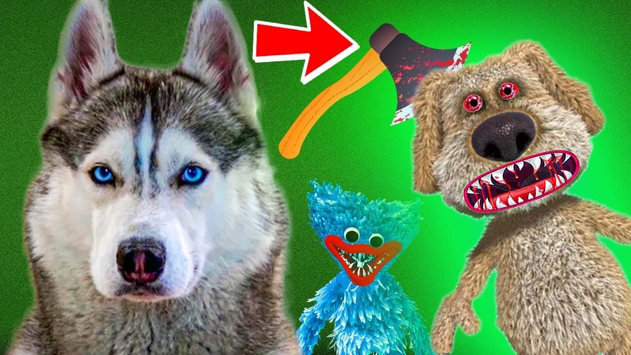 Как убить ГОВОРЯЩЕГО БЕНА ЕХЕ ?! Хаски Бандит Говорящая собака смотреть онлайн