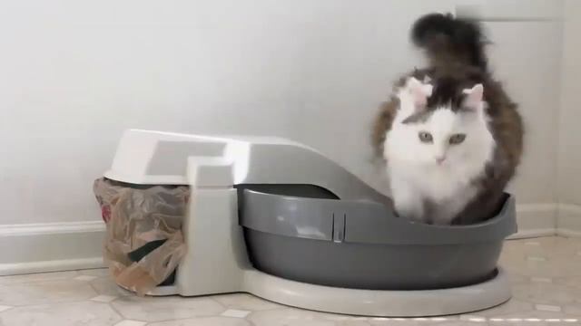 Кошачий лоток с автоматической функцией уборки Обзор китайских гаджетов смотреть онлайн
