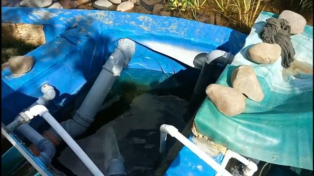 Пруд для осетра часть 2 смотреть онлайн