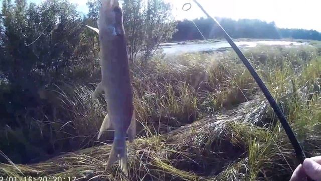 Ближайшее подмосковье ловля на воблера смотреть онлайн